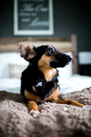 Patrick + Molly-4.jpg